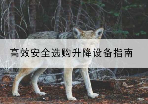 曲江升降货梯厂家推荐-*安全选购升降设备指南