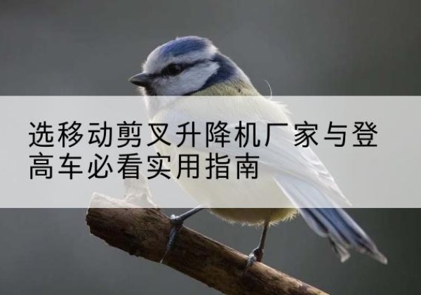 曲江电动升降机厂家-选移动剪叉升降机厂家与登高车必看实用指南