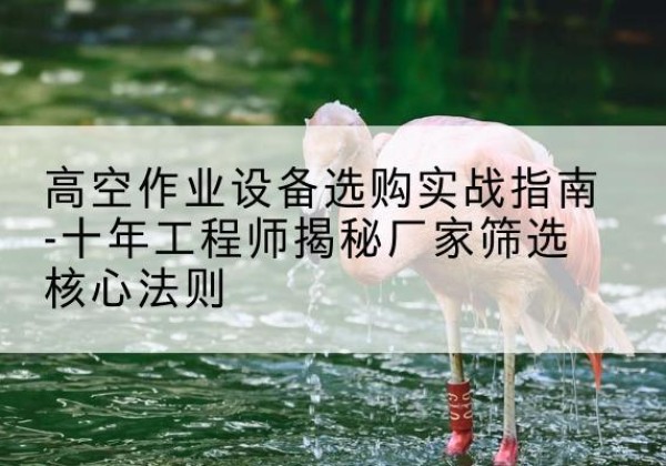 曲江剪叉式升降机厂家-高空作业设备选购实战指南-十年工程师揭秘厂家筛选核心法则
